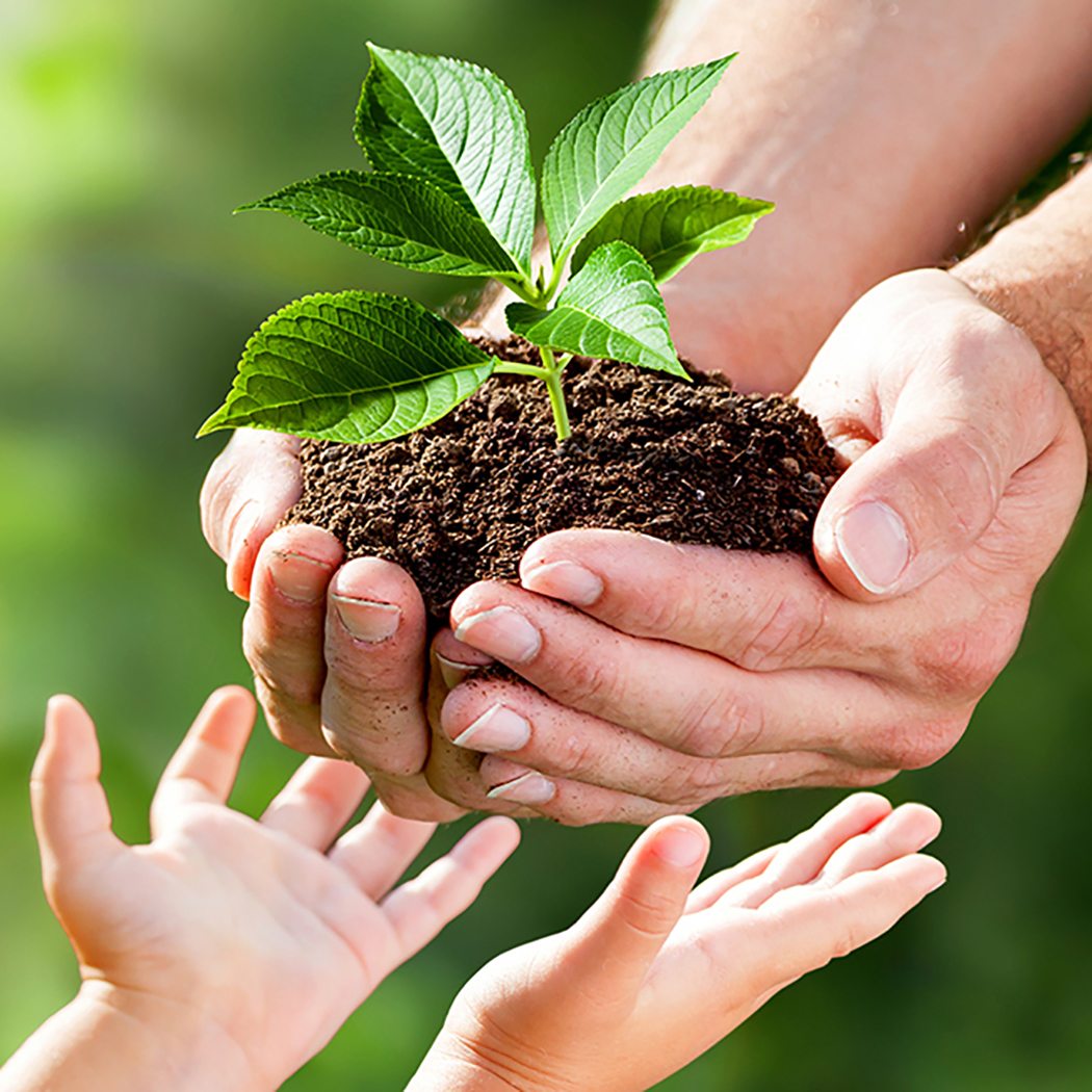 hands of child receiving plant from adult, Business process services: Life and wealth | DXC Technology