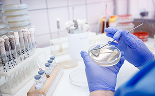 hands working with specimens in lab, Life Sciences | DXC Technology Insights